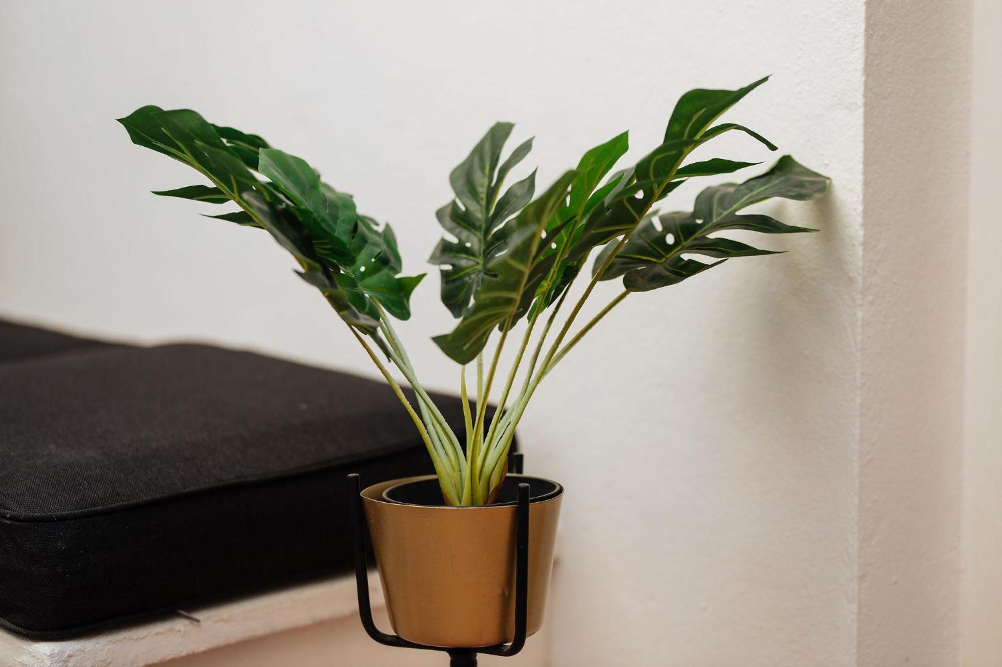 מאלגה Casa Riad Met Prive Patio מראה חיצוני תמונה